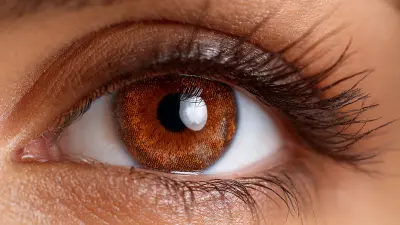 7 Essential Tips for Maximizing the Benefits of Amber Photochromic Lenses